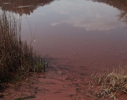 Le associazioni eporediesi: “salviamo il lago San Michele”