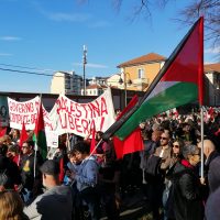 Più di quattromila persone a Torino alla manifestazione per la Palestina