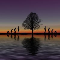 La scienza si diverte