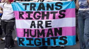 Trans in carcere. Il territorio, la pena, le persone e la transizione di genere
