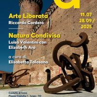 Arte liberata