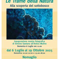 Due mostre fotografiche alla scoperta della natura