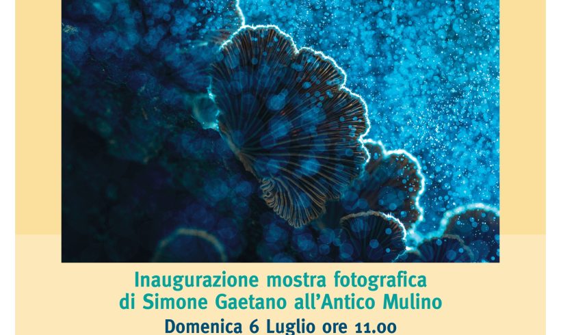 Due mostre fotografiche alla scoperta della natura