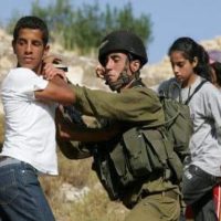 Vivere a Beit Ummar nel terrore quotidiano per gli attacchi dei coloni