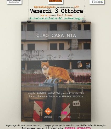 Ciao casa mia. Storie di salvezza e impegno