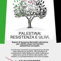Palestina: resistenza e ulivi