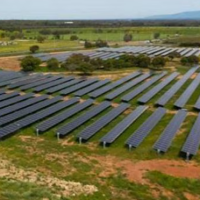 Pannelli e radici: la sfida morale dell’agrivoltaico piemontese