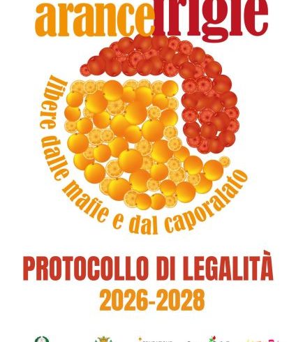 Arance frigie: il Carnevale di Ivrea tra tradizione e responsabilità