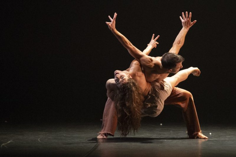 MM Contemporary Dance Company