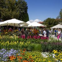 Tre ricchi giorni per il giardino a Masino