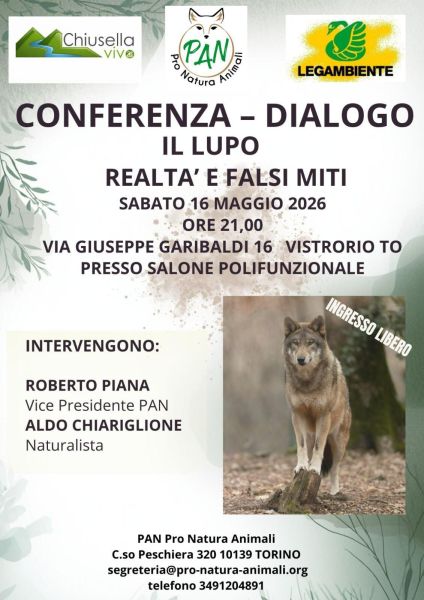Il lupo, realtà e falsi miti