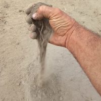 Il vero costo del cibo: dalla crisi climatica al futuro dell’agricoltura locale