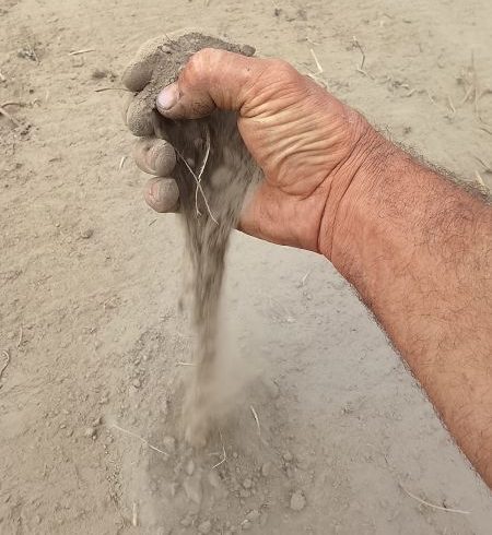 Il vero costo del cibo: dalla crisi climatica al futuro dell’agricoltura locale Il vero costo del cibo: dalla crisi climatica al futuro dell’agricoltura locale